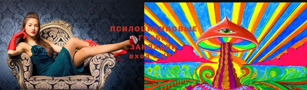 jwh Горняк