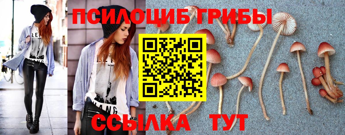 Псилоцибиновые грибы ЛСД Магнитогорск