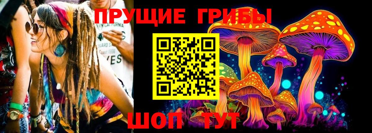 Галлюциногенные грибы GOLDEN TEACHER  Галлюциногенные грибы ЛСД  Магнитогорск  цена наркотик  Вход с VPN 